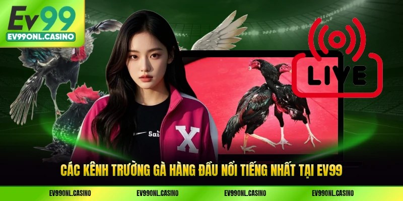Các kênh trường gà hàng đầu nổi tiếng nhất tại EV99