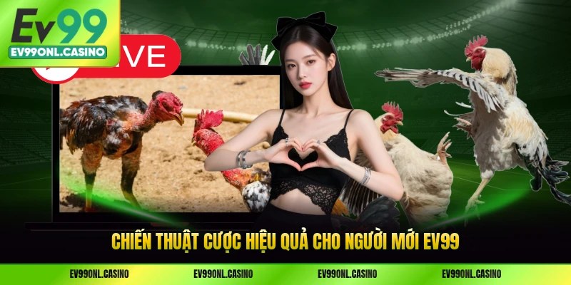 Chiến thuật cược hiệu quả cho người mới EV99