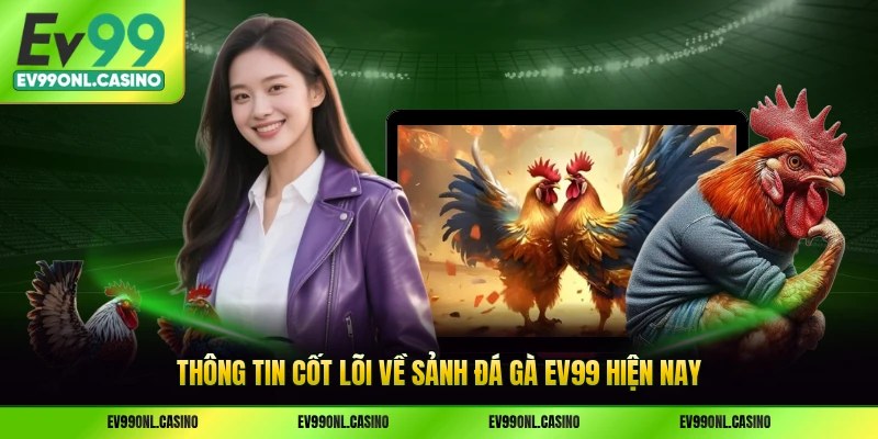 Thông tin cốt lõi về sảnh đá gà EV99 hiện nay